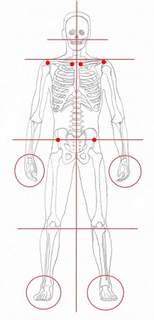 Standing-body alignment A) Lateral View-Good posture. B) Lateral